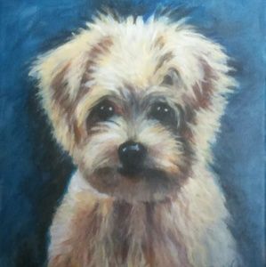 Maltese little dog cute picture painting pet